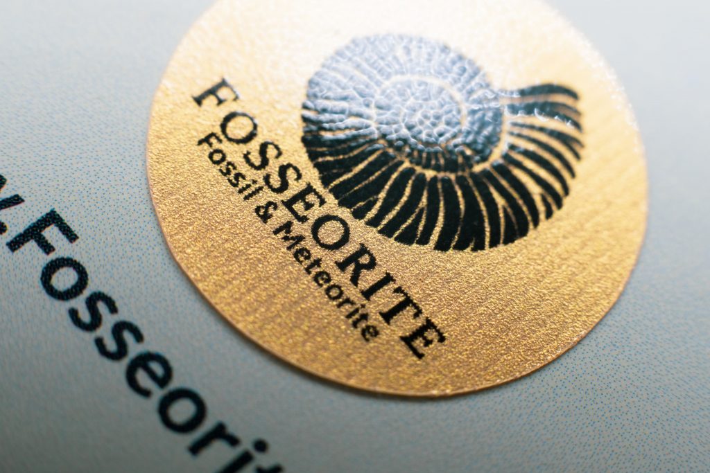 Fosseorite.com Fossil & Meteorite แหล่งรวบรวมฟอสซิล และอุกกาบาตหายากจากทั่วโลก