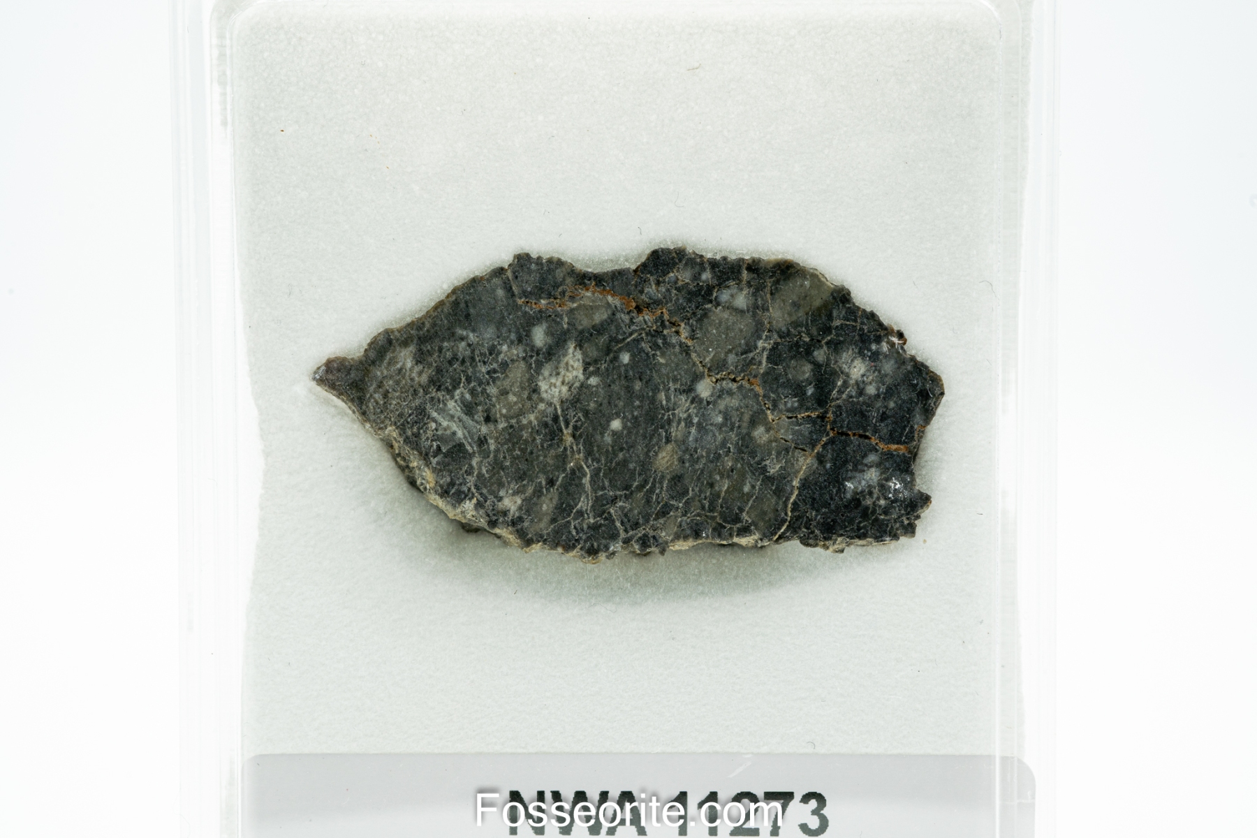 NWA 11273 Lunar Achondrite Meteorite